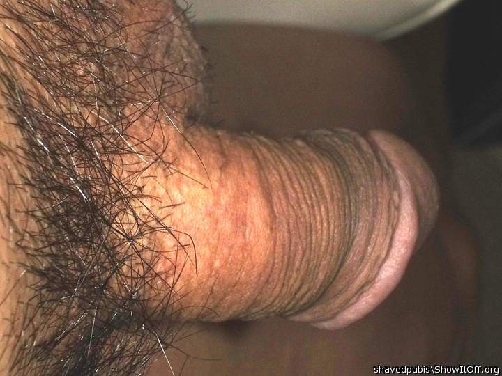 Adult image from shavedpubis