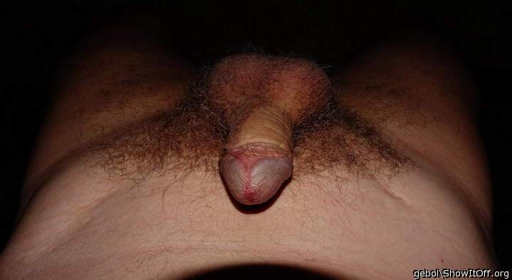 Adult image from gebol