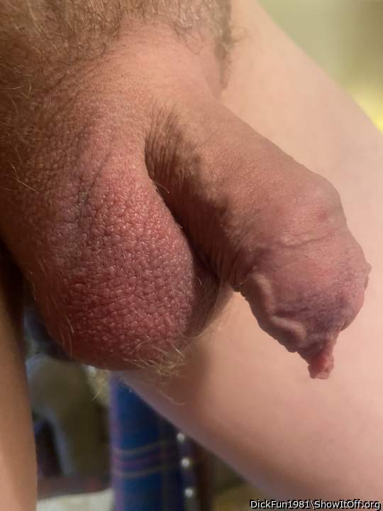 Adult image from DickFun1981