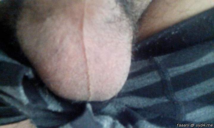 Adult image from faaani