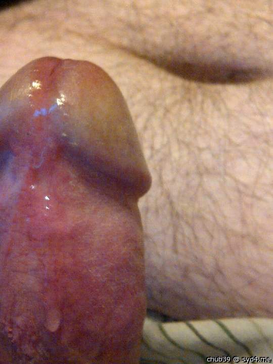 Adult image from chub39
