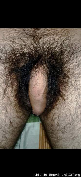 Adult image from chilenito_thno