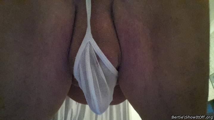 Adult image from Bertie