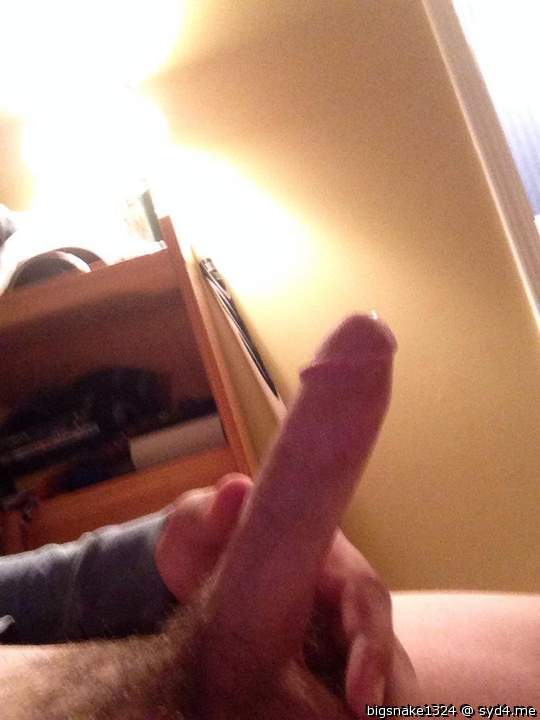 Adult image from Bigsnake1324