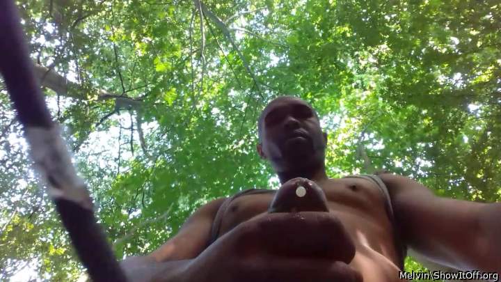Adult image from Melvin