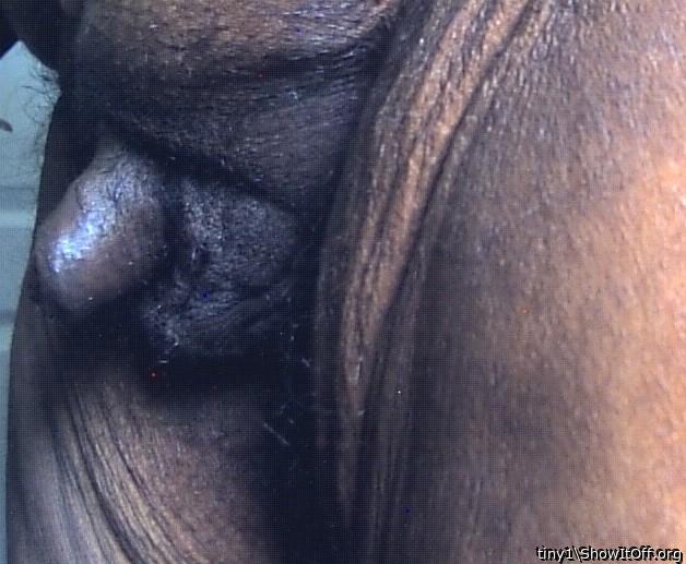 Adult image from tiny1
