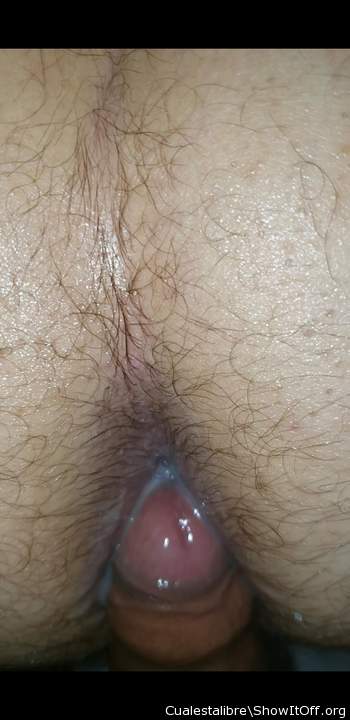 Adult image from cualestalibre