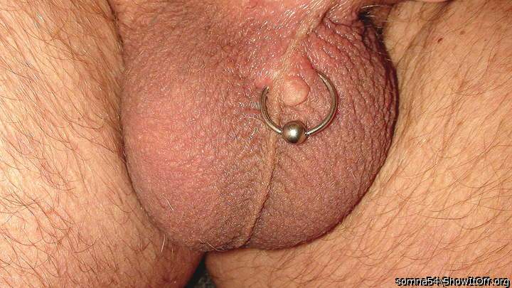 sculpture of my scrotum