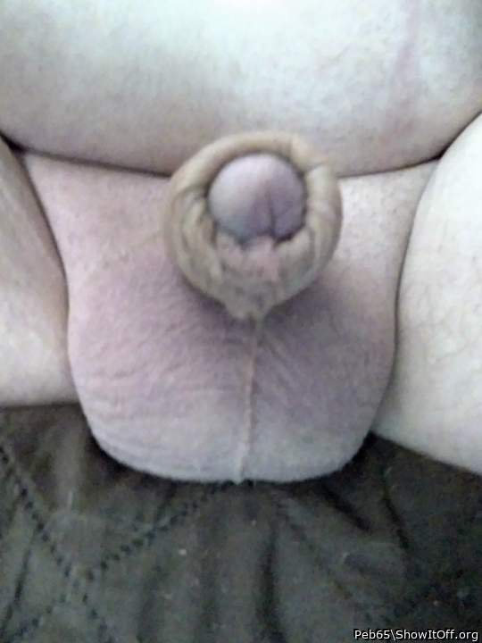 Adult image from Peb65