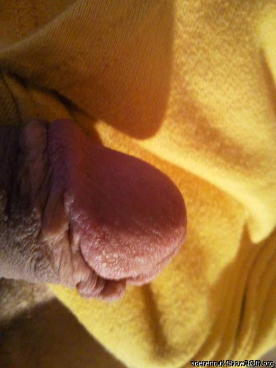 Adult image from Soerencut