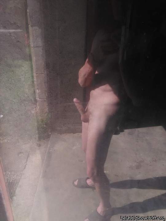 Adult image from bela36