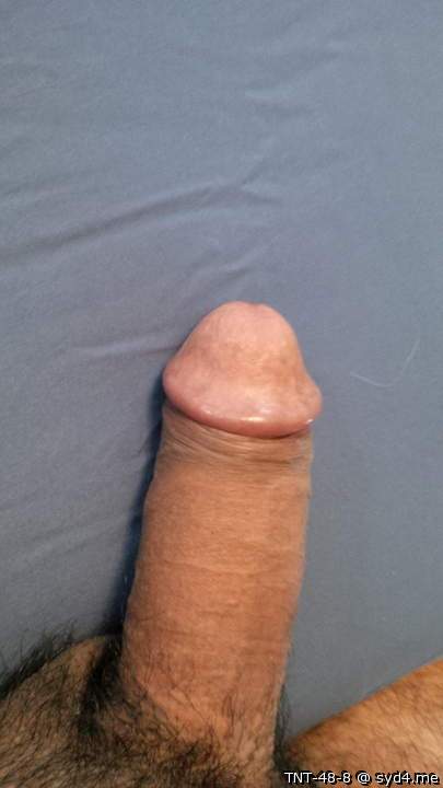 Adult image from TNT-48-8