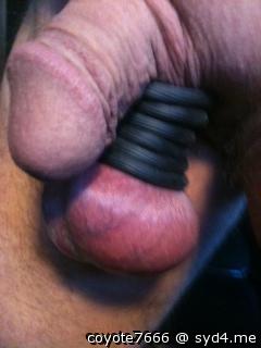 Adult image from coyote7666