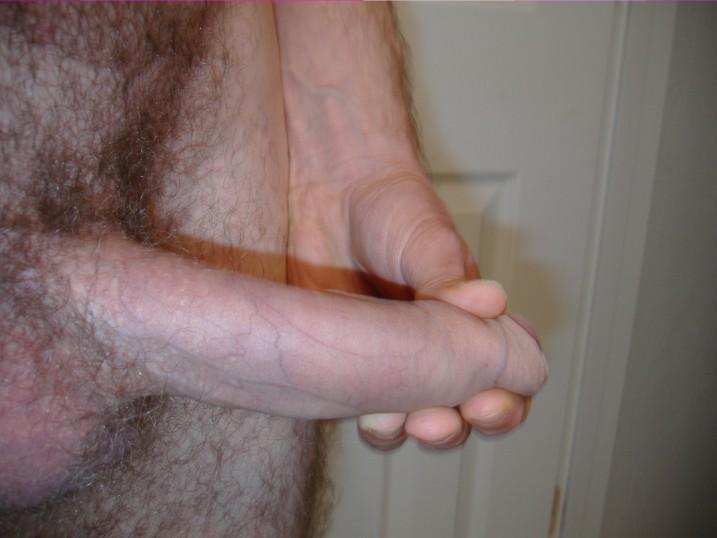 Adult image from bsd7