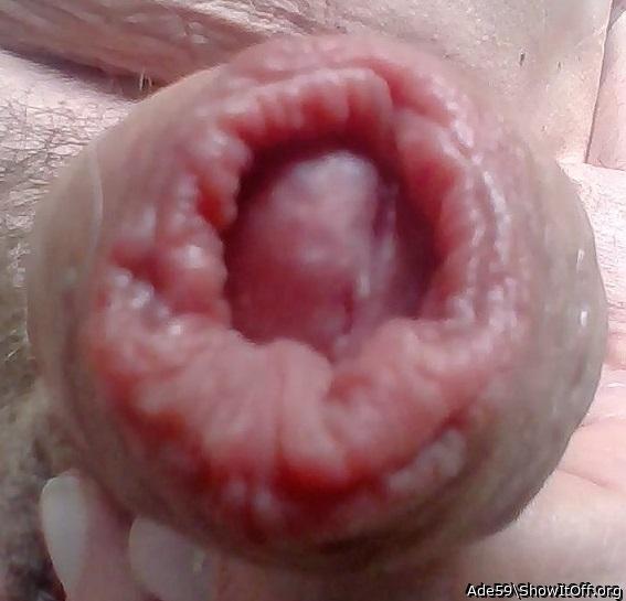 Adult image from Ade59