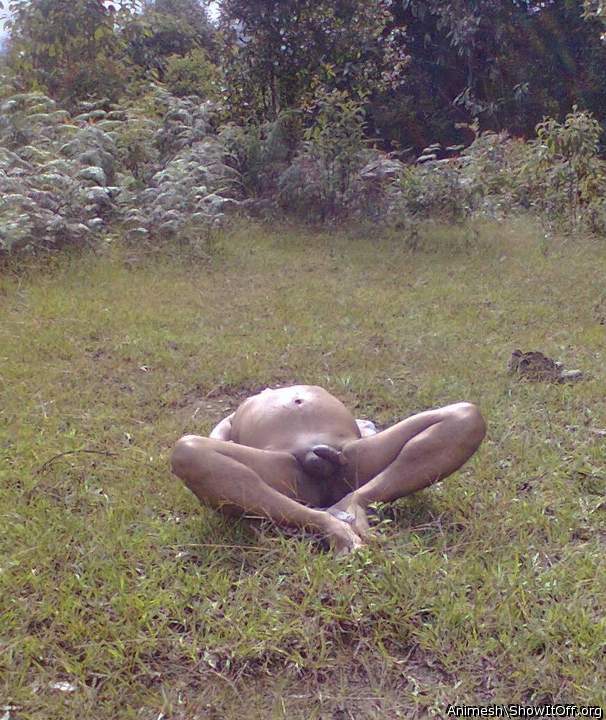 Adult image from Animesh