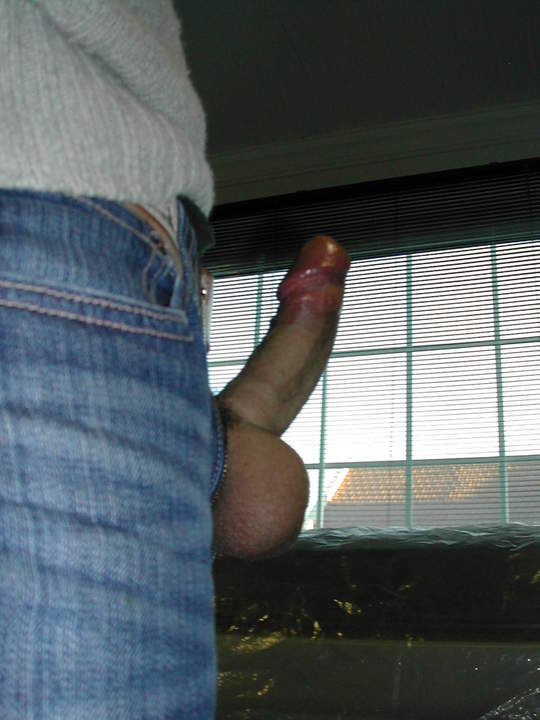 Adult image from 1035
