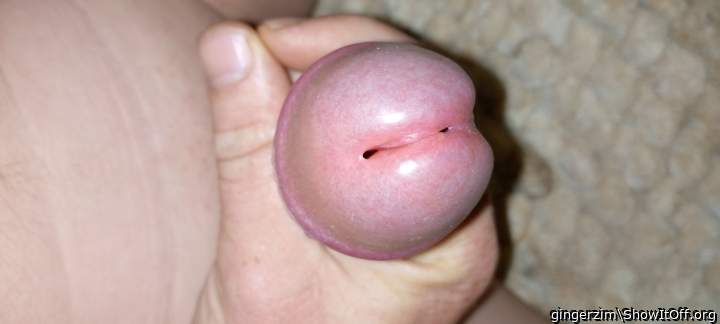 Adult image from gingerzim