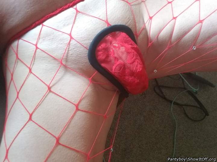 Adult image from Pantyboy