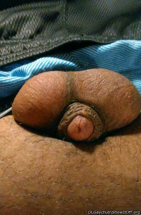 Adult image from DLGaychub