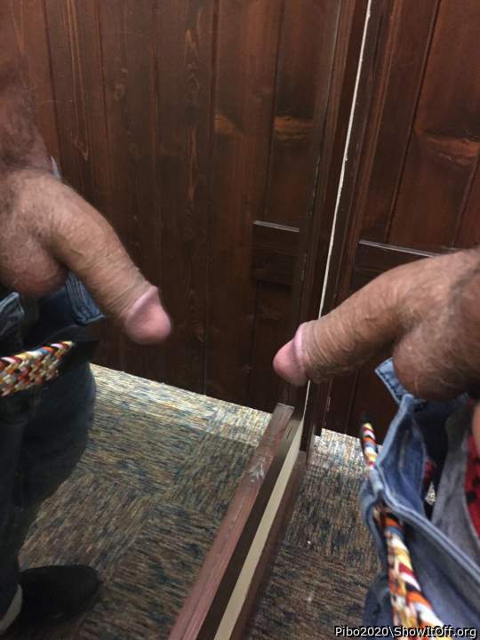 Adult image from Pibo2020