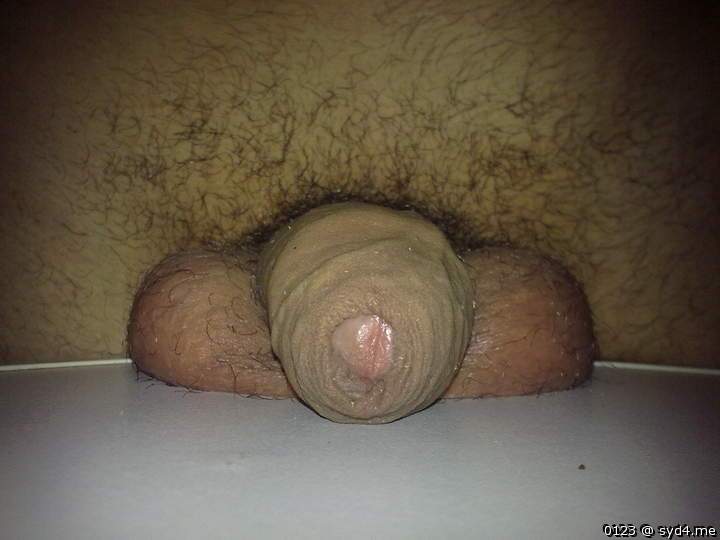 Adult image from 0123