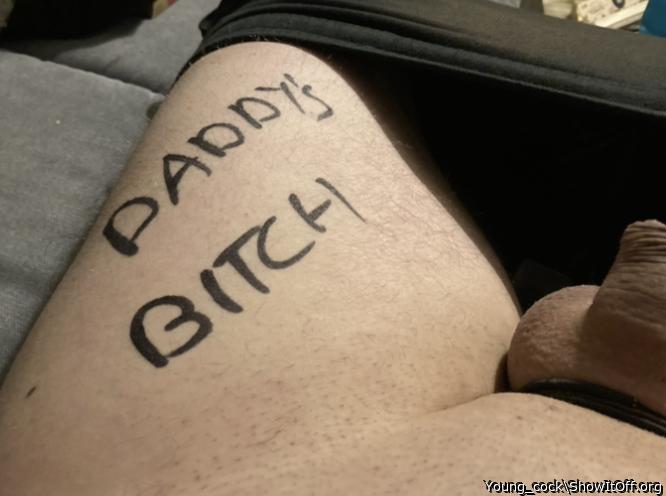 Adult image from Young_cock