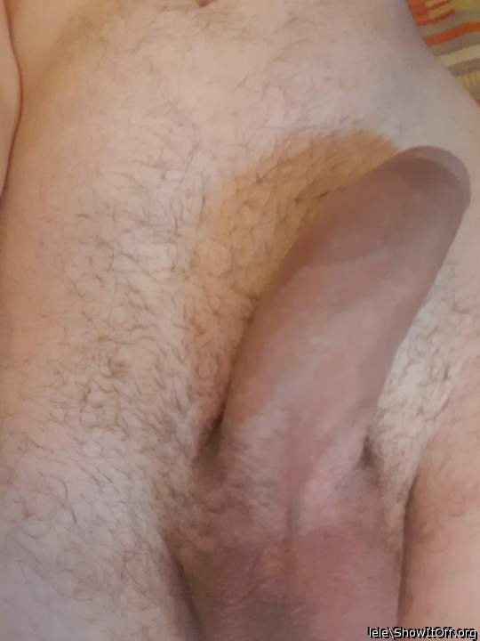 Adult image from lele