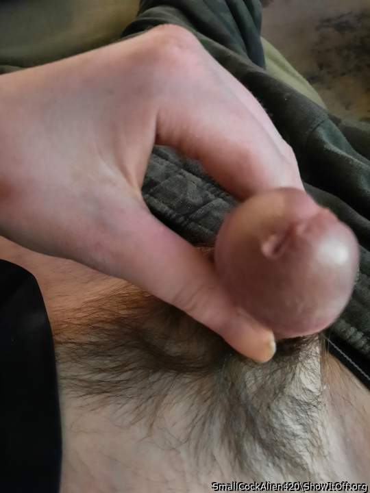 Adult image from SmallCockAlien420