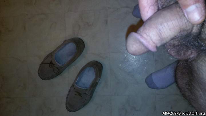 Adult image from Alf4269