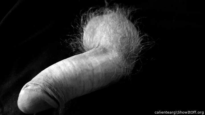 Adult image from calientearg