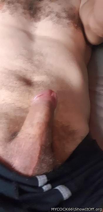 Adult image from MYCOCK66