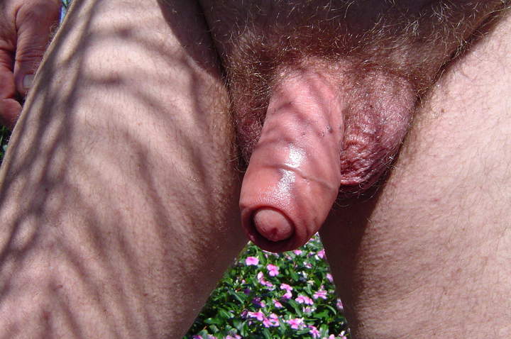 Adult image from cuddles1