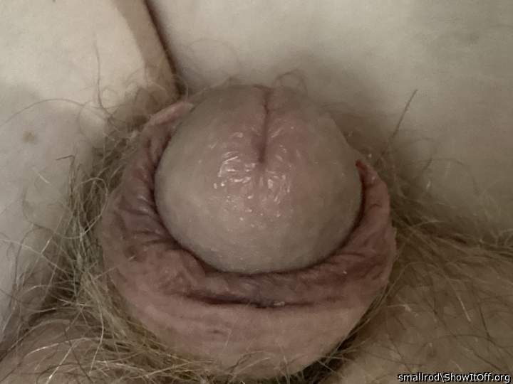 Adult image from smallrod