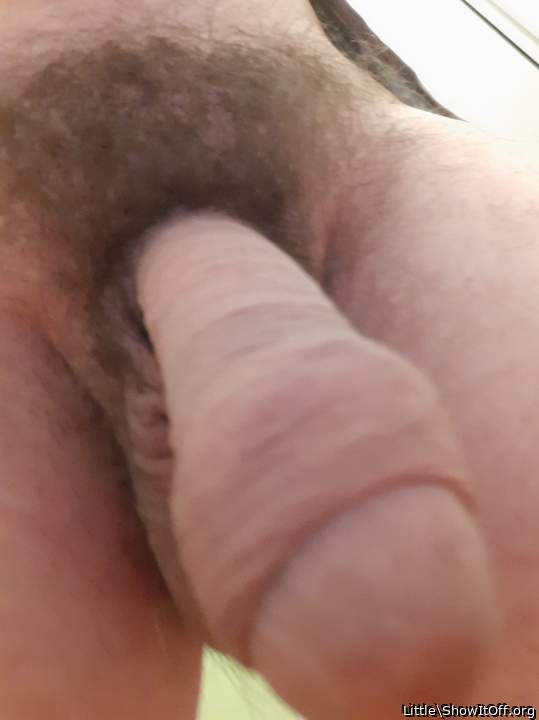 Adult image from Little
