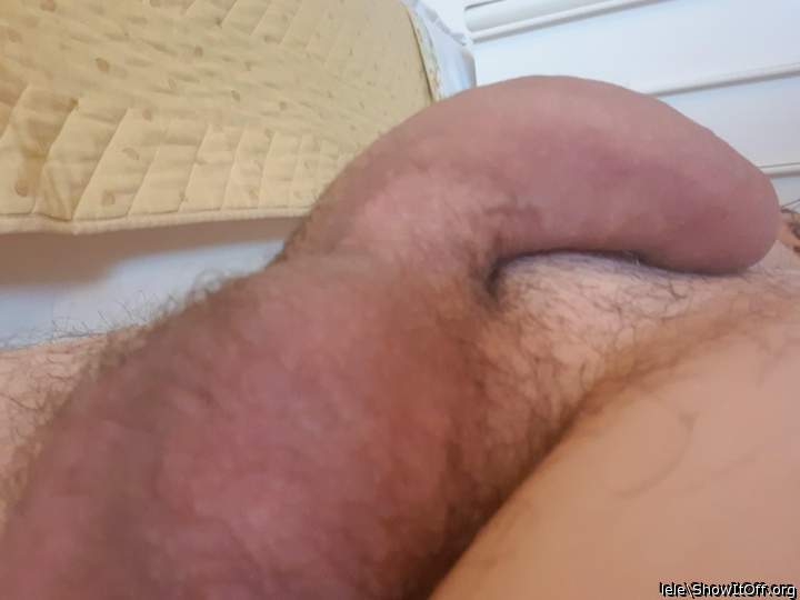 Adult image from lele