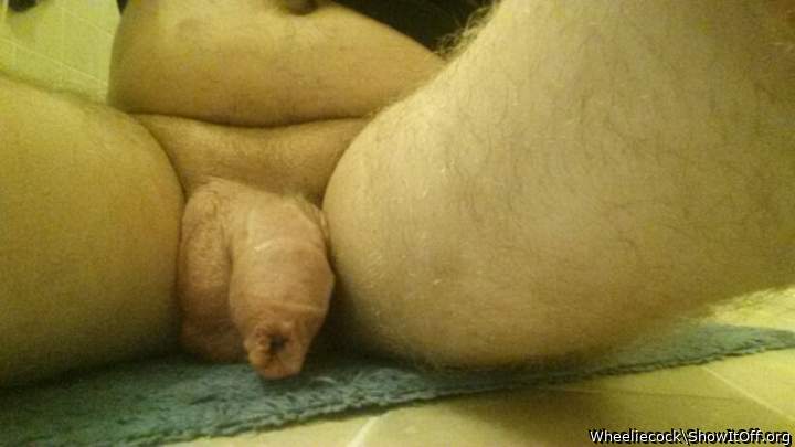 Adult image from Wheeliecock