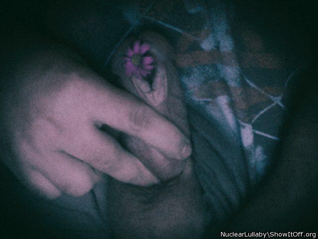 Adult image from NuclearLullaby