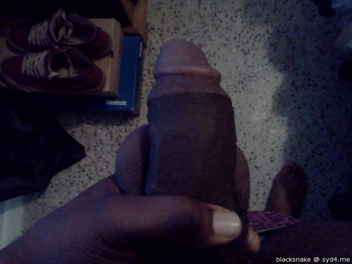 Adult image from blacksnake