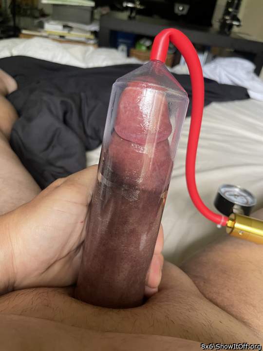Adult image from 8x6