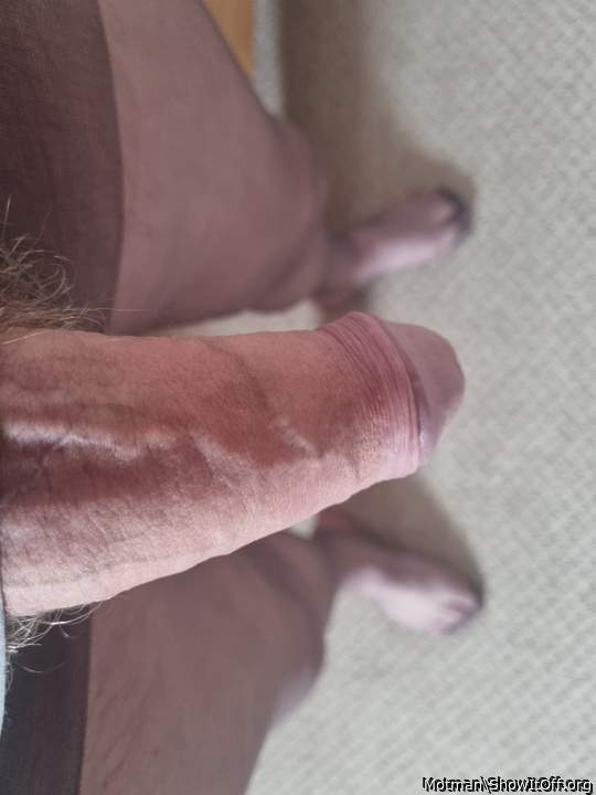 Adult image from Motman