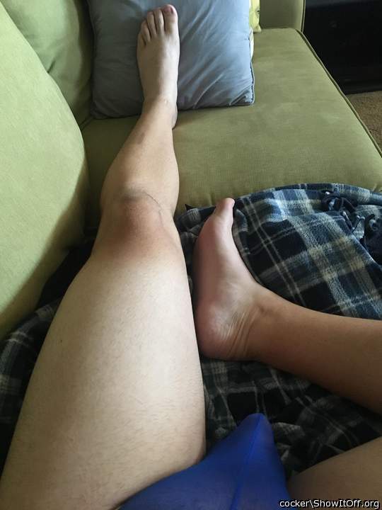 Adult image from cocker