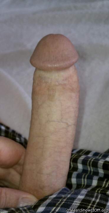 Adult image from cheesi
