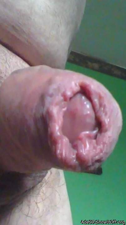 Adult image from Ade59