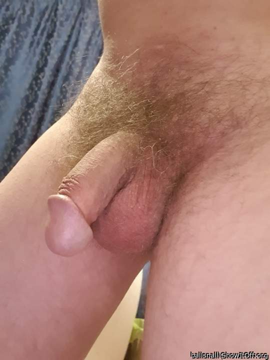 Adult image from ballsnall