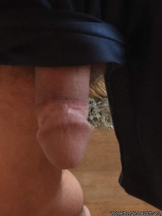 Adult image from dodgerboy