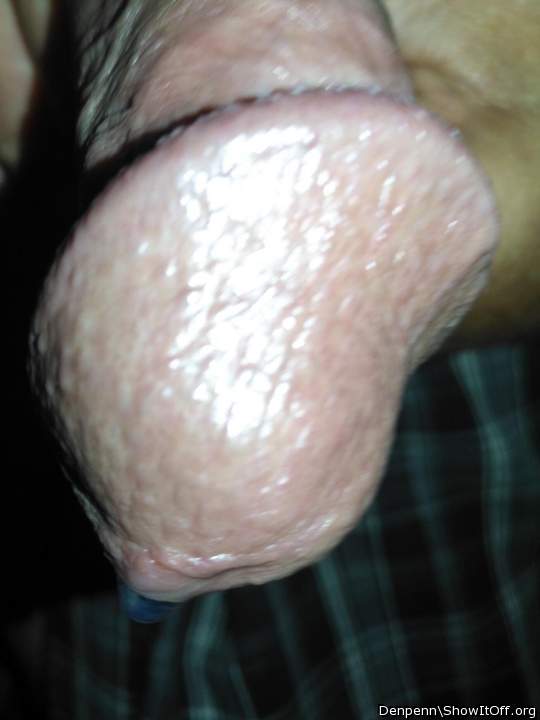 Adult image from Denpenn