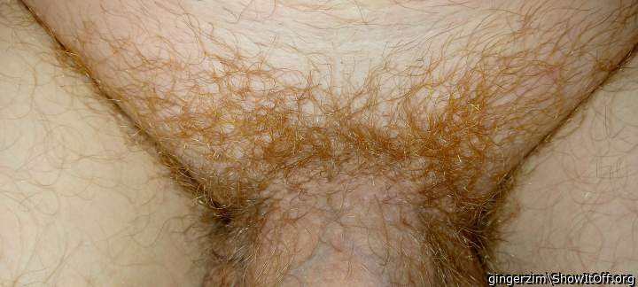 Adult image from gingerzim