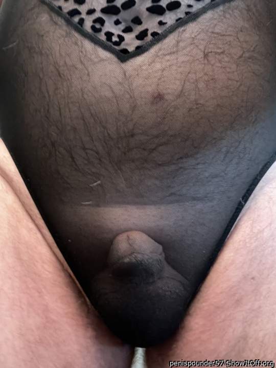 Adult image from penispounder57