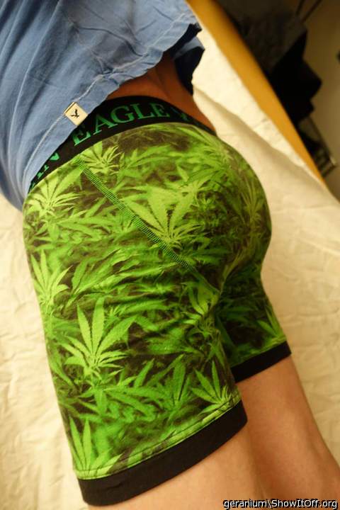 Adult image from geranium